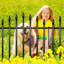 No Dig Metal Garden Fence – Rustproof Border for Small Dogs, Rabbits, Flower Beds & Lawn Edging – Black-717904714-716329230