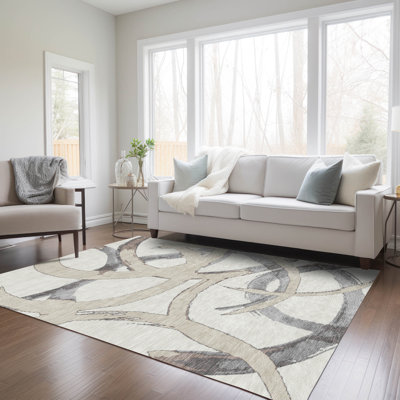  Machine Washable Indoor/Outdoor Chayden ACN1022 Beige Rug