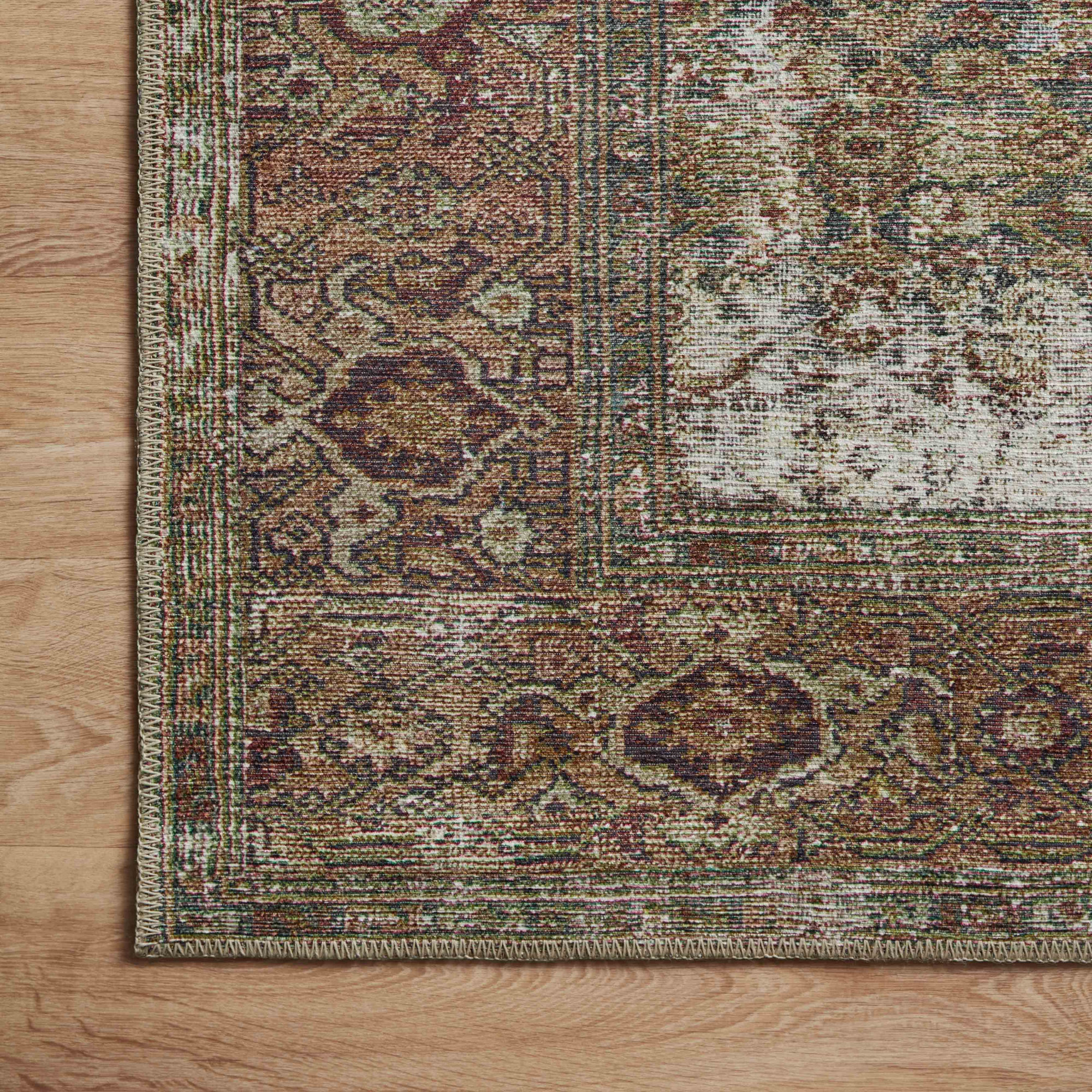 Georgie Oriental Moss/Salmon Area Rug, Rectangle 2'3" x 3'9"