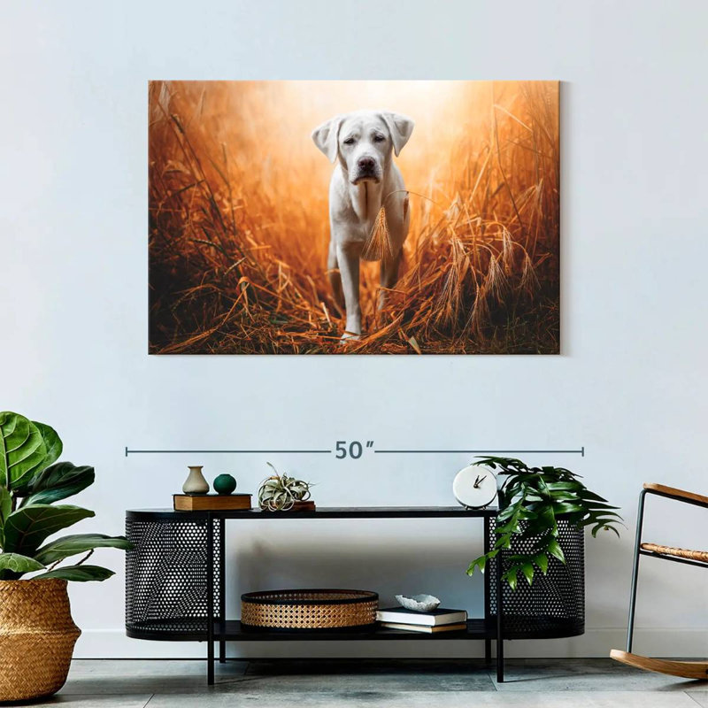 Brampt Lost Labrador Retriever, 30" H x 45" W