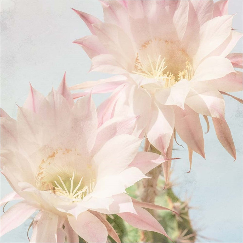 Plants & Flowers Wall Decor on Canvas