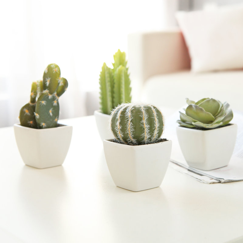 4 - Piece Artificial Succulent in Pot Set