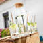 Funambule 1L Carafe