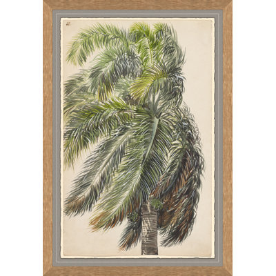 Palma Real, Charles De Wolf Brownell Giclee Print by Soicher Marin Archives