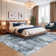 Washable Abstract Area Rugs for Living Room