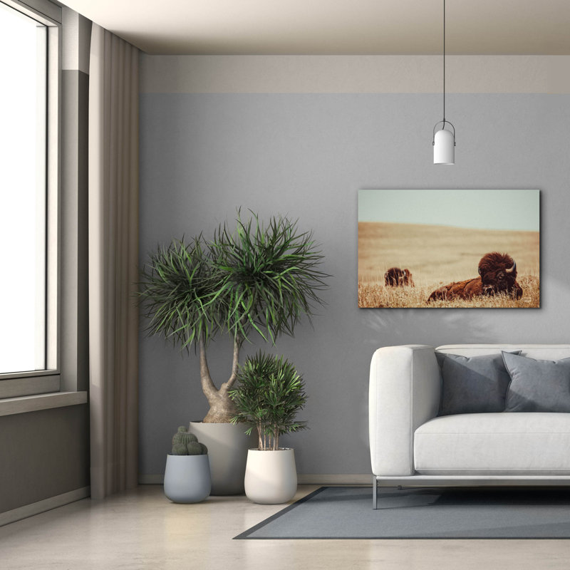 «Tall Grass Bison» par Nathan Larson, art mural sur toile, H 26 po x l 40 po