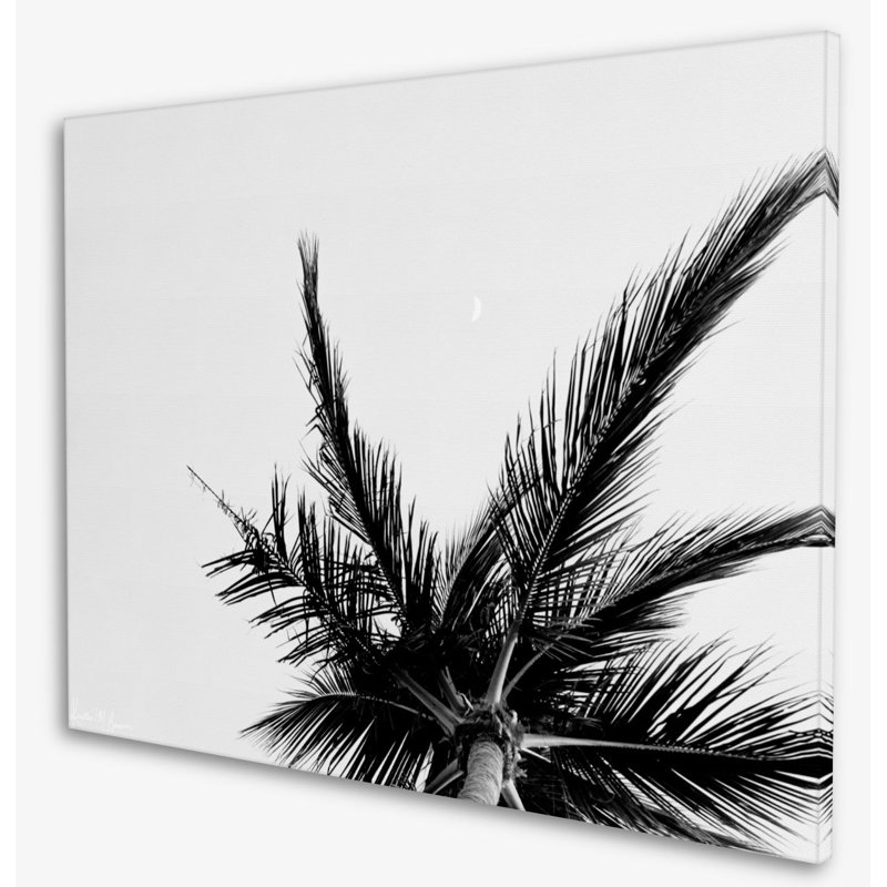 «Find Me Under The Palms» par Kristen M. Brown, H 18 po x l 24 po x P 1,25 po, Toile tendue