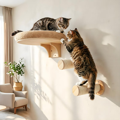 Cat Bed with Scratching Post Set