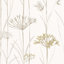 Ivory/Gold