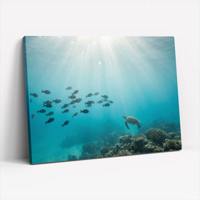 Underwater Sea Turtle And Fish Coral Reef Canvas Wrapped Wall Art Oil Painting Print Set Of 1
