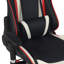 RayGar Tilting PC & Racing Game Chair-55770631