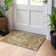 Premium Machine Washable Prisco Brown Rug