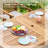 Susa 6 - Person Patio Dining Set with Extendable Rectangular Table , Cushions Included