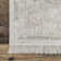 Auxence Choir Medallion Area Rug for Living Room Bedroom Dining Room Kitchen, Ivory/Beige