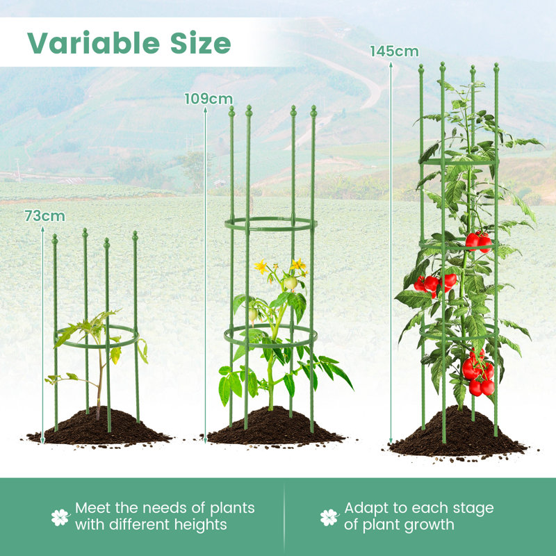 145cm H x 30cm W Metal Arched Trellis