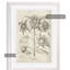 « tournesol ii » par paul cezanne-cadre photo, reproduction d’art Fresco-1383942124-1383942115