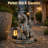 Solar Powered Dragon with Hanging Lantern Garden Statue