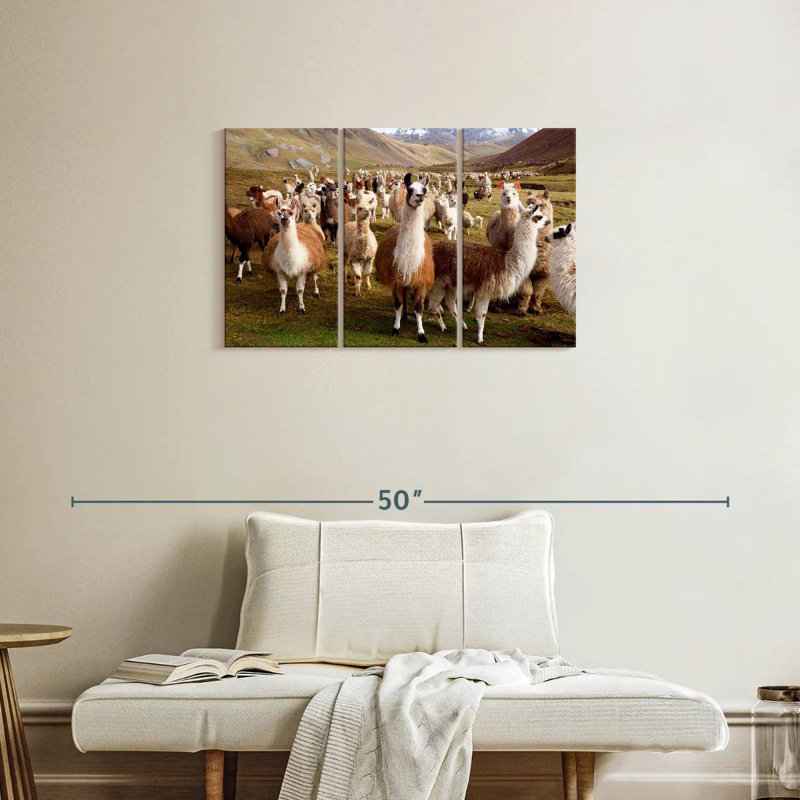 Brampt Peruvian Alpacas And Llamas, 20" H x 33" W