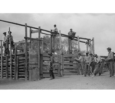 " Cowboys Around The Corral " by Russell Lee