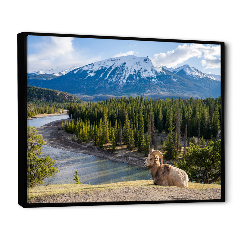 Faune sauvage, paysage de l'Alaska II, H 34 po x l 44 po x P 1,5 po, Cadre flottant noir