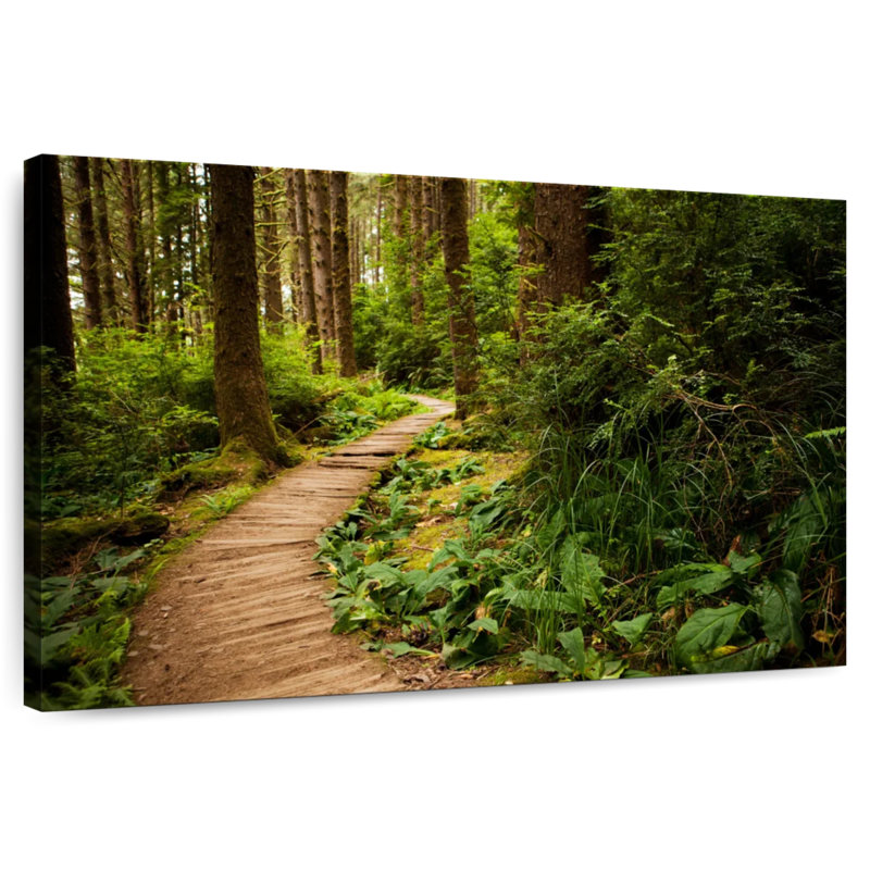 Sentier de randonnée Alvord Redwoods, H 8 po x l 12 po