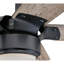 Prochoros Ceiling Fan with LED Lights