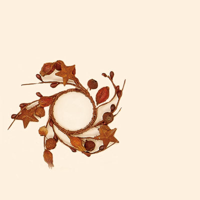 Mini Bud & Rusty Star Candle Ring