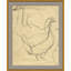 Duck Sketch Giclee Print by Finn And Ivy