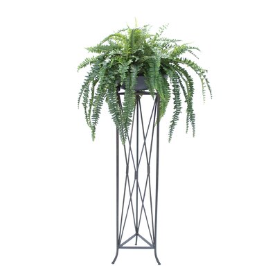 Distinctive Designs Boston Fern In Stone Bowl In Large Plant Stand
