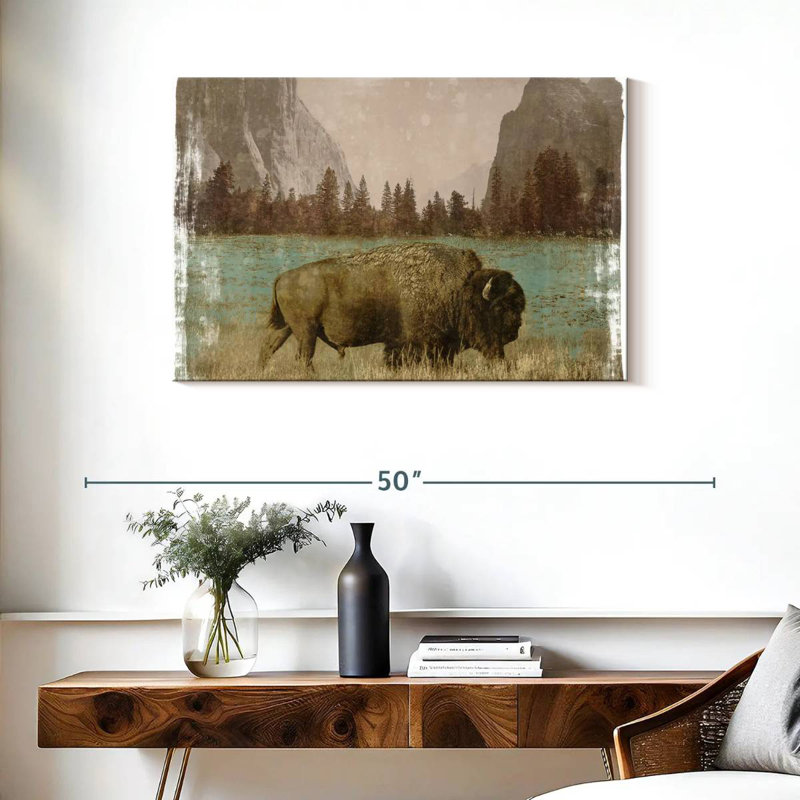 Bison dans le parc