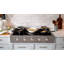 Mercury 48" Induction Range Top-405522880