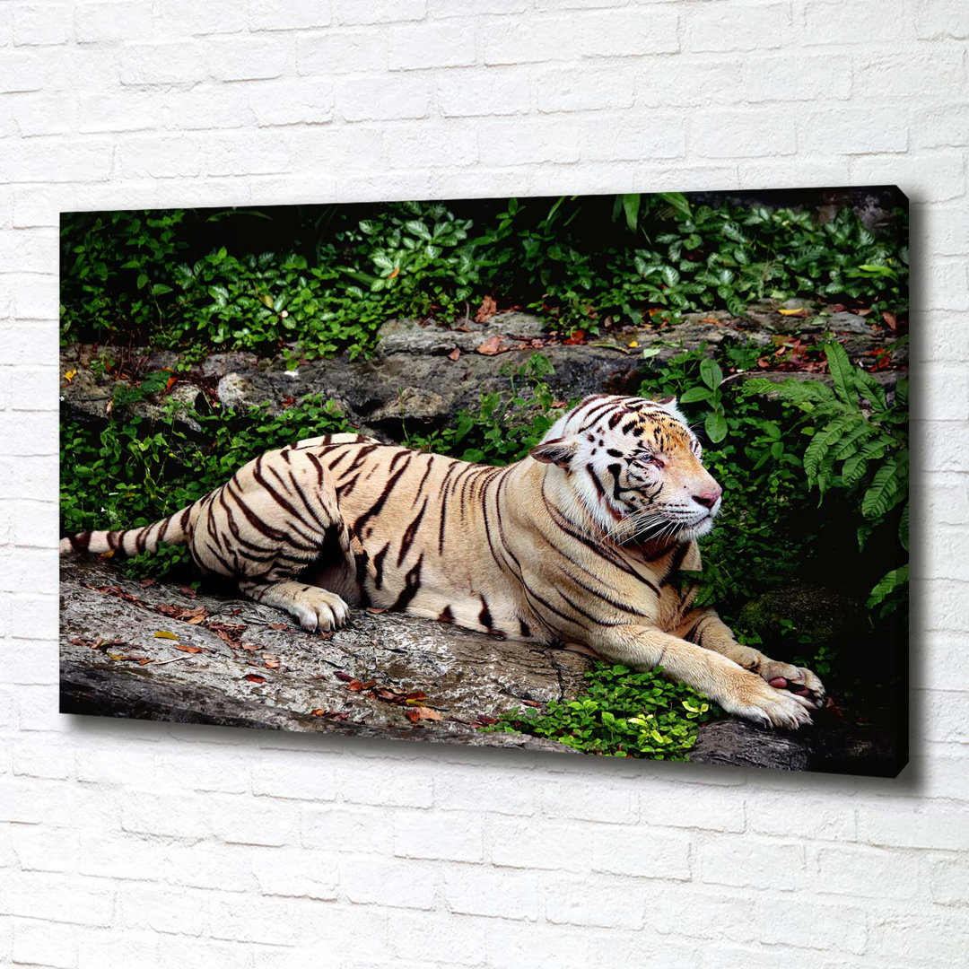 Tiger on the Rock - Ungerahmte Kunstdrucke auf Leinwand