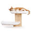 Lit mural double pour chat, tablette flottante en bois naturel avec 2 coussins blancs moelleux, plateforme de couchage murale surélevée pour chatons et chats adultes