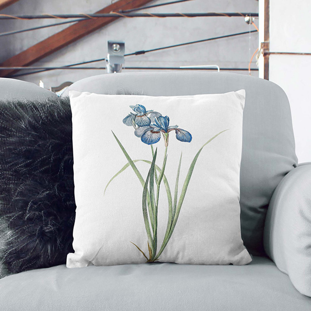 Iris Pratensis by Pierre-Joseph Redoute Cushion with Filling
