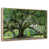 Floating Frame Natural Wood