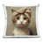 Chat 3