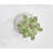 5'' Faux Aeonium Succulent in Ceramic Pot