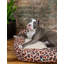 Tapis pour lit de qualité supérieure Rugs.com-100613956-110734659
