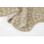 Acadia Animal Print Area Rug in Beige