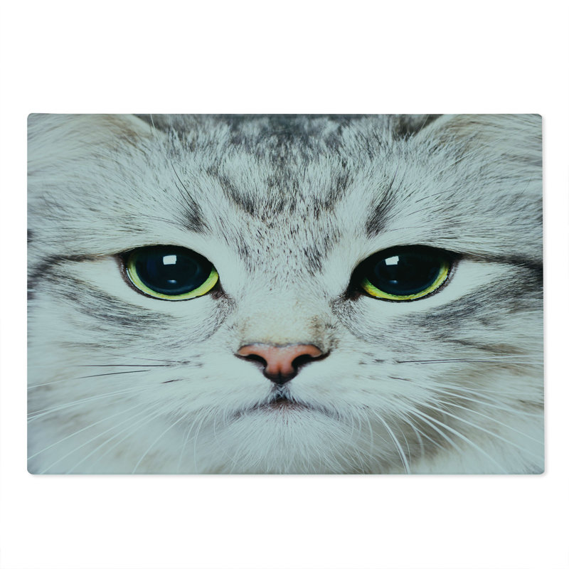 Multicolore portrait de chat domestique de grande taille Ambesonne