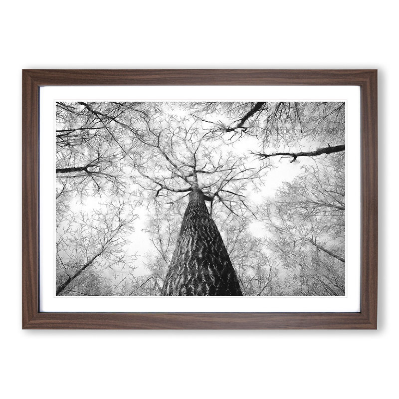 Below the Forest - Picture Frame Painting, Walnut Framed, 27cm H x 36cm W x 2cm D