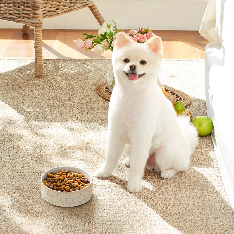 Hexagon Embossed Pattern Anti-skid Stoneware Dog Bowl, 480ml