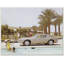 Friends Having Fun Near Pool Giclee Print-805720959-805720931-805720928