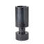 Luc Vase-49511026