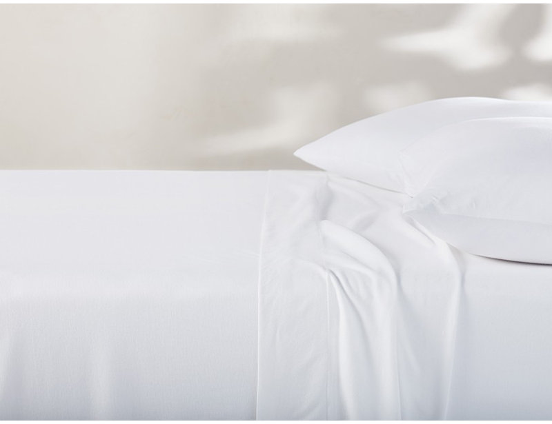 Jersey 100% Cotton Jersey Knit Sheet Set, Queen, Natural
