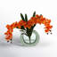 Orchid Floral Arrangement in Vase-97821097