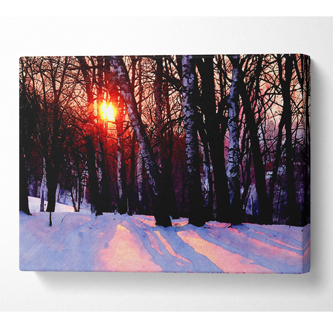 Winter Woodland Sun - Druck