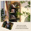 Bibliothèque en bois massif 21,26 "