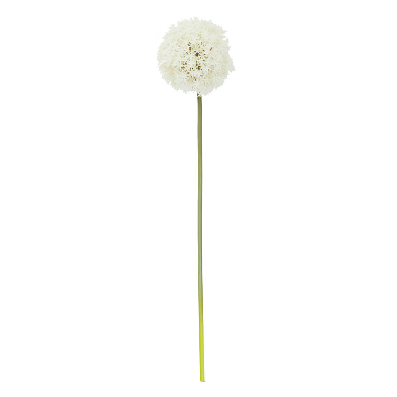 Fiori Allium Arrangement