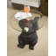 Table de bout Kershaw Bear